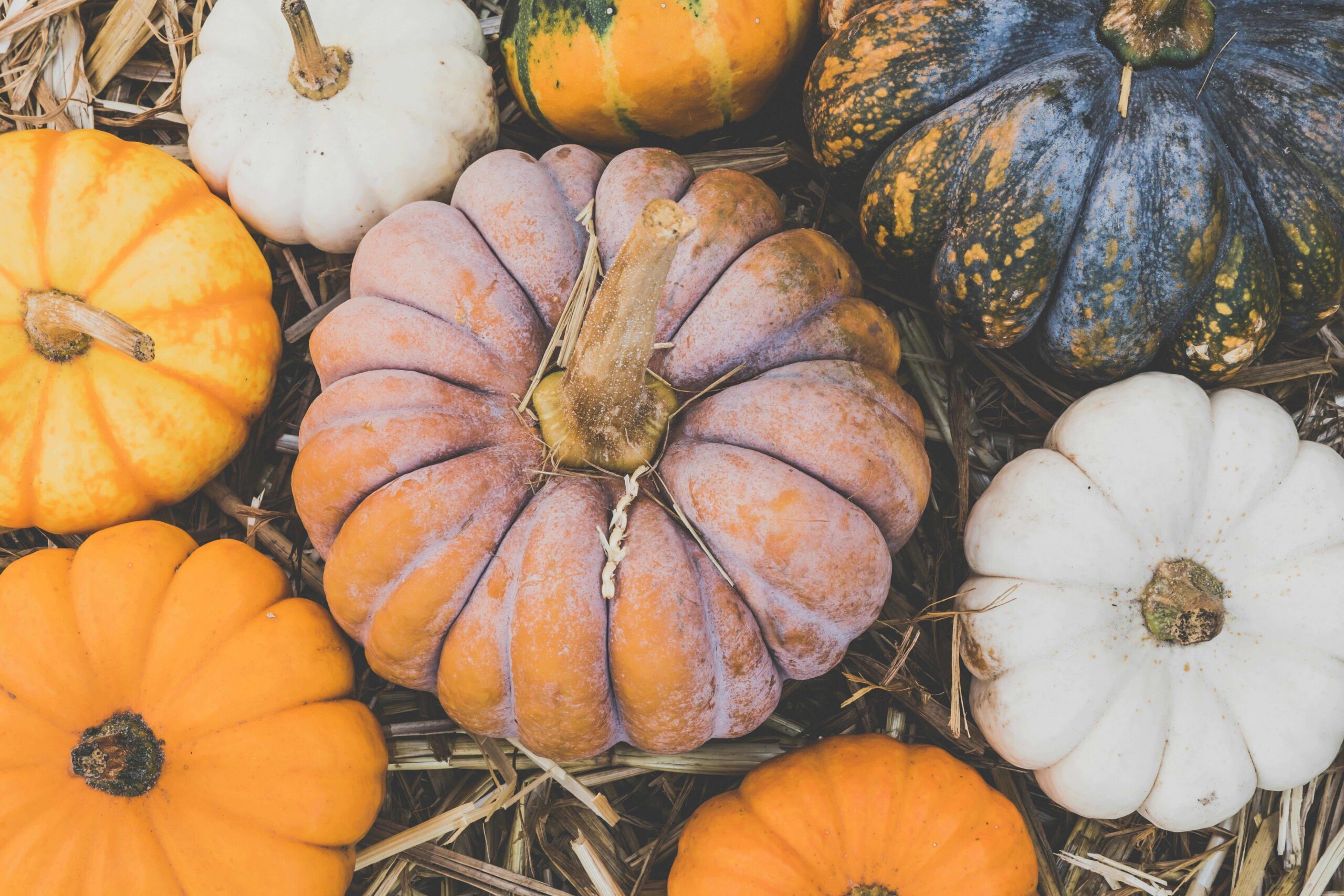Assortment of orange, white, and green pumpkins