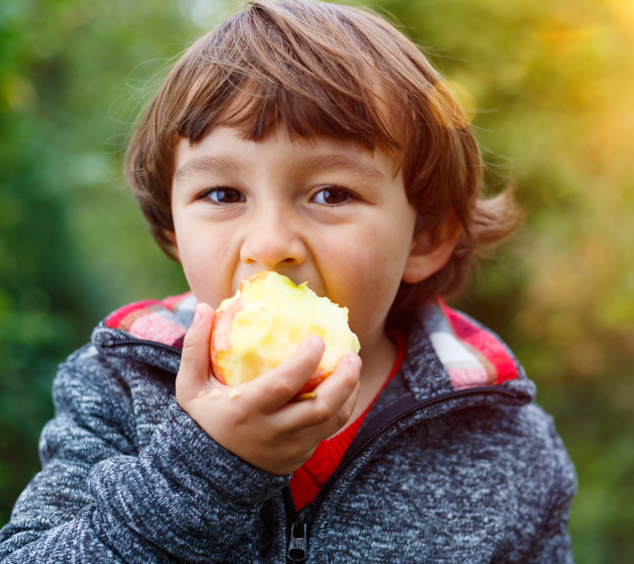 Young boy eating an apple