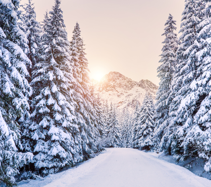 Eine schneebedeckte Straße führt zu einem schneebedeckten Berg, gesäumt von schneebedeckten Nadelbäumen.